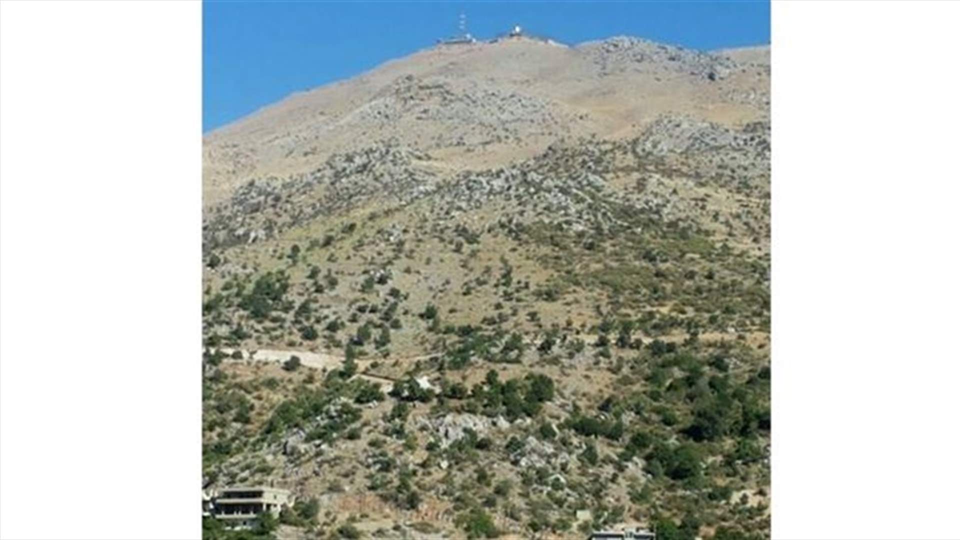 Israeli soldiers abduct shepherd from Shebaa