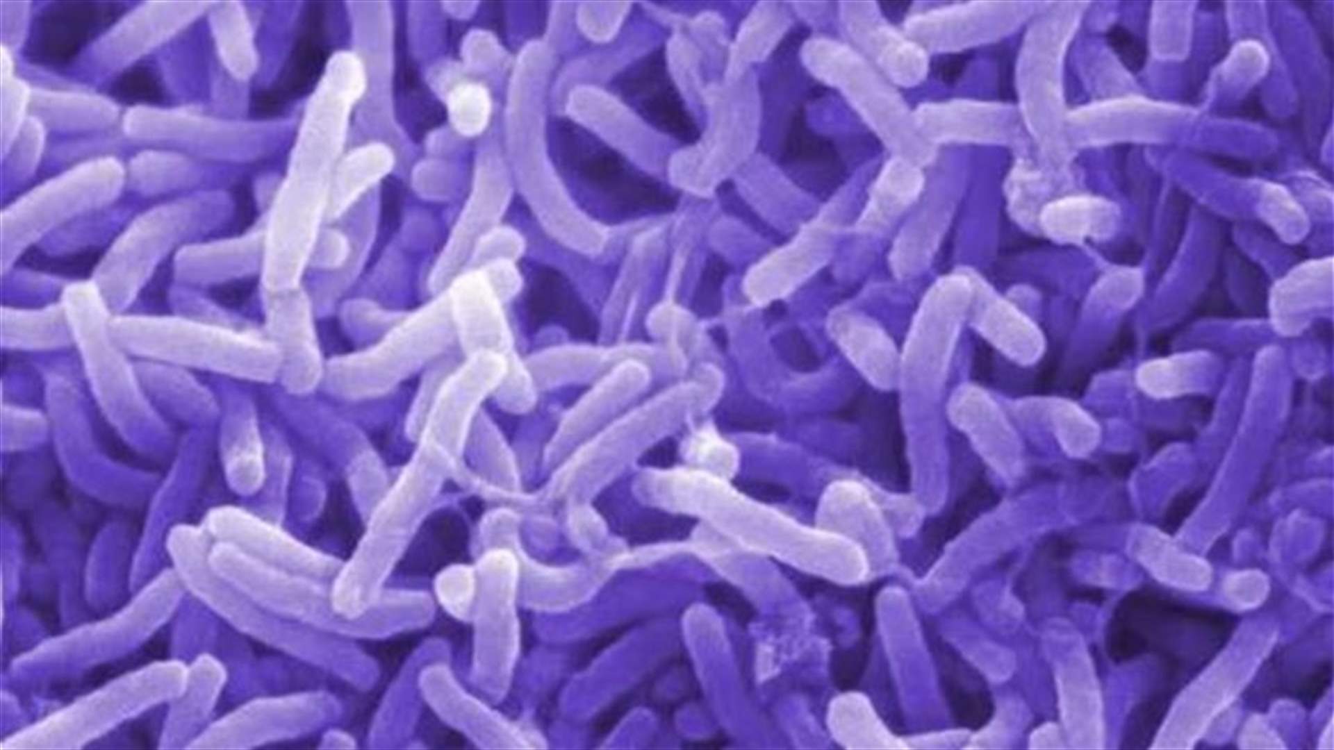 Ebola distracts from worsening Cameroon cholera outbreak