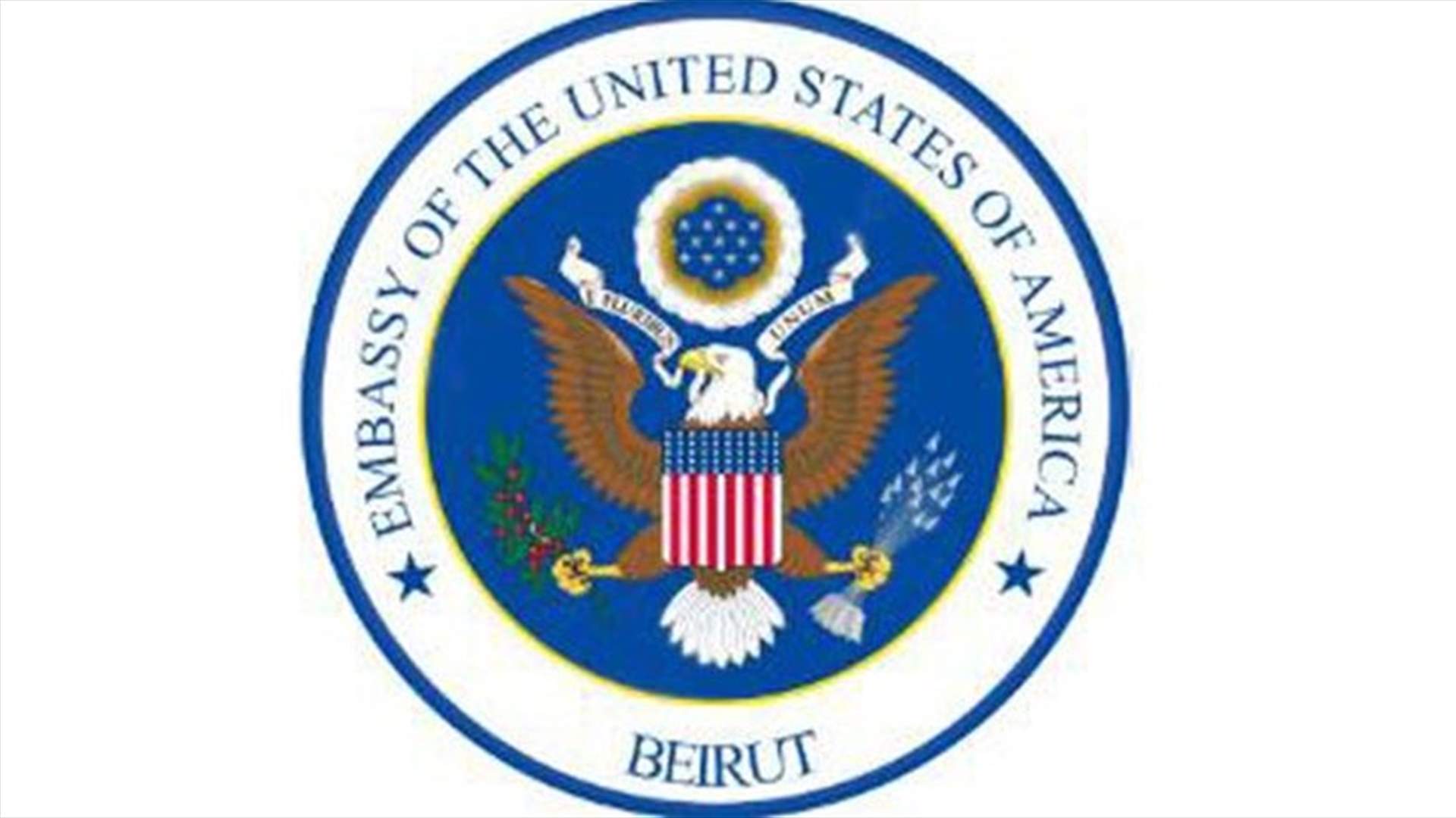 US ambassador Hale praises bravery of LAF, stresses US continuous support for Lebanon