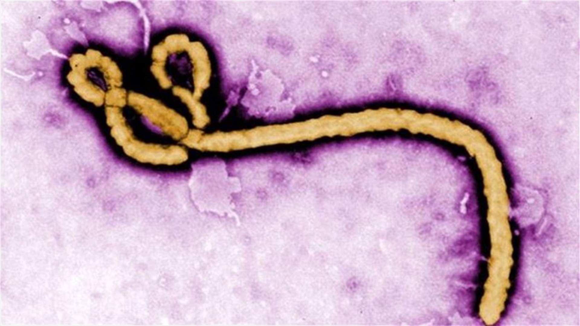 WHO consulting medical ethics experts on experimental Ebola drugs