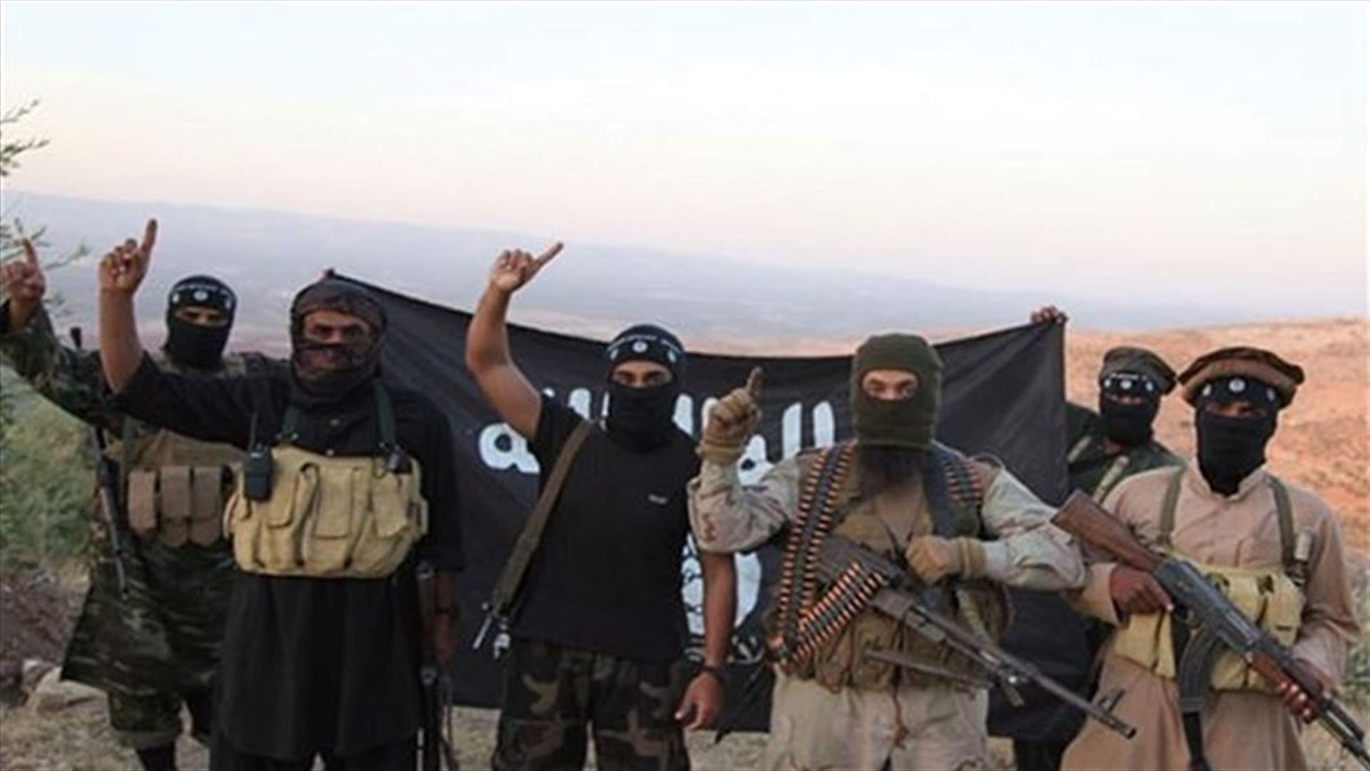 REPORT: US aircraft hit Islamic State artillery in Iraq -Pentagon