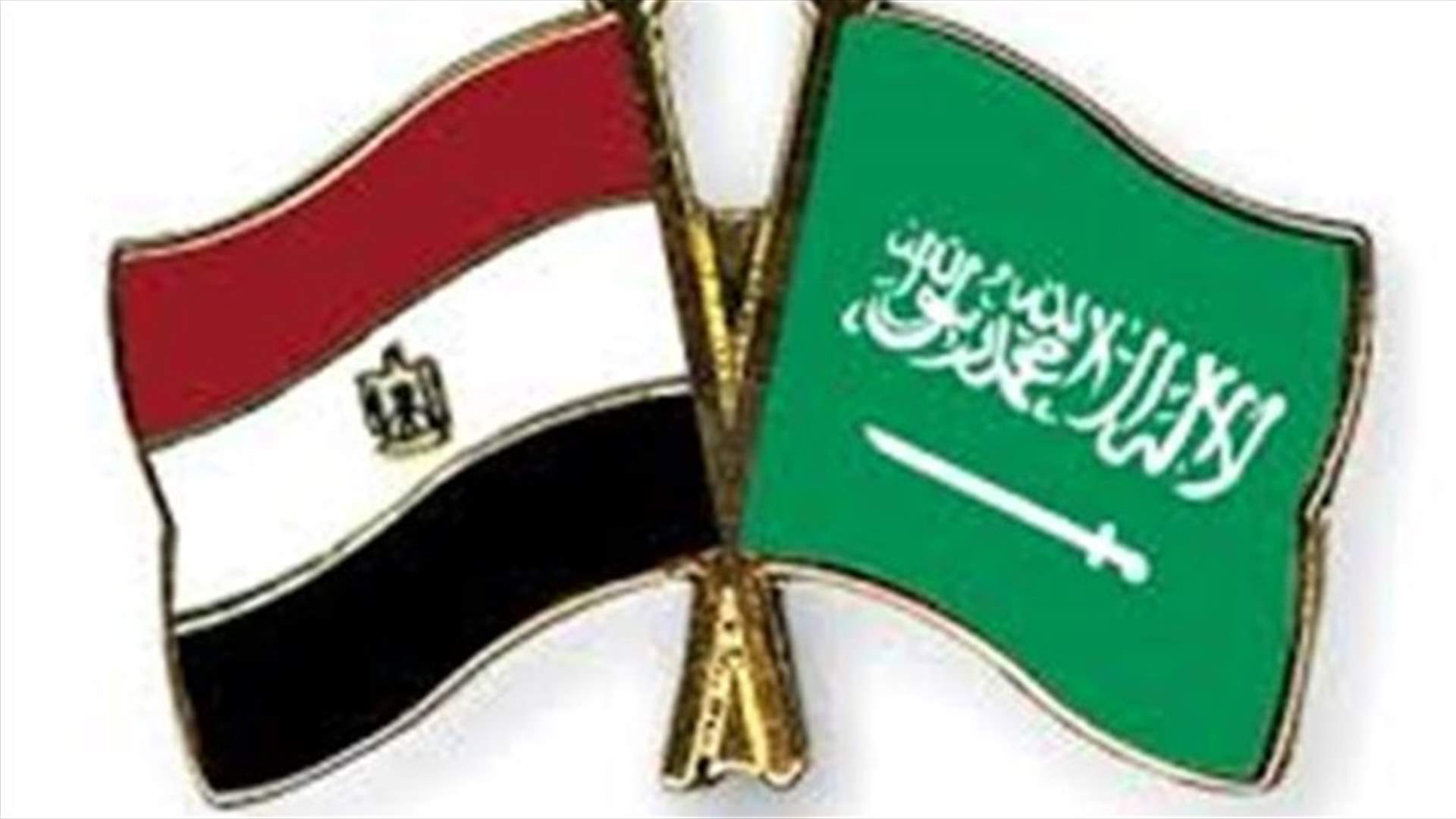 Egypt, Saudis seek united front against militant Islam