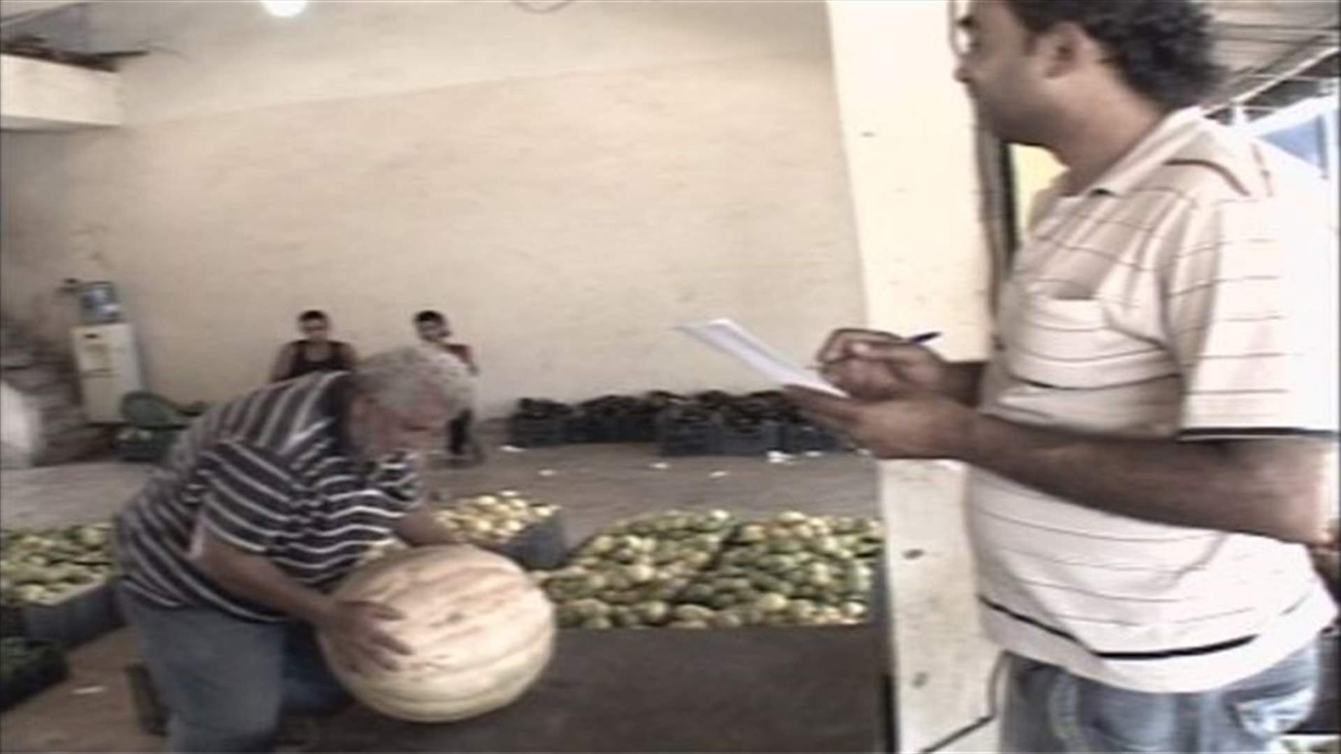 Giant pumpkin found in Lebanon’s Tyre