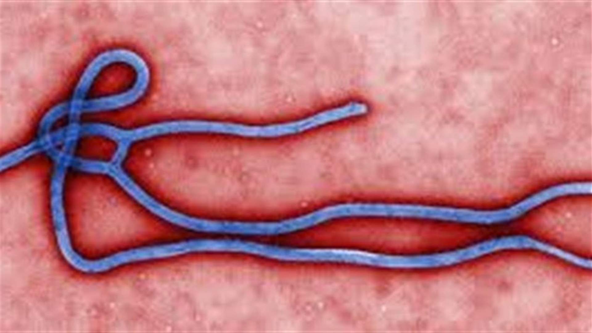 Nigeria now has 12 Ebola cases, 5 recovered