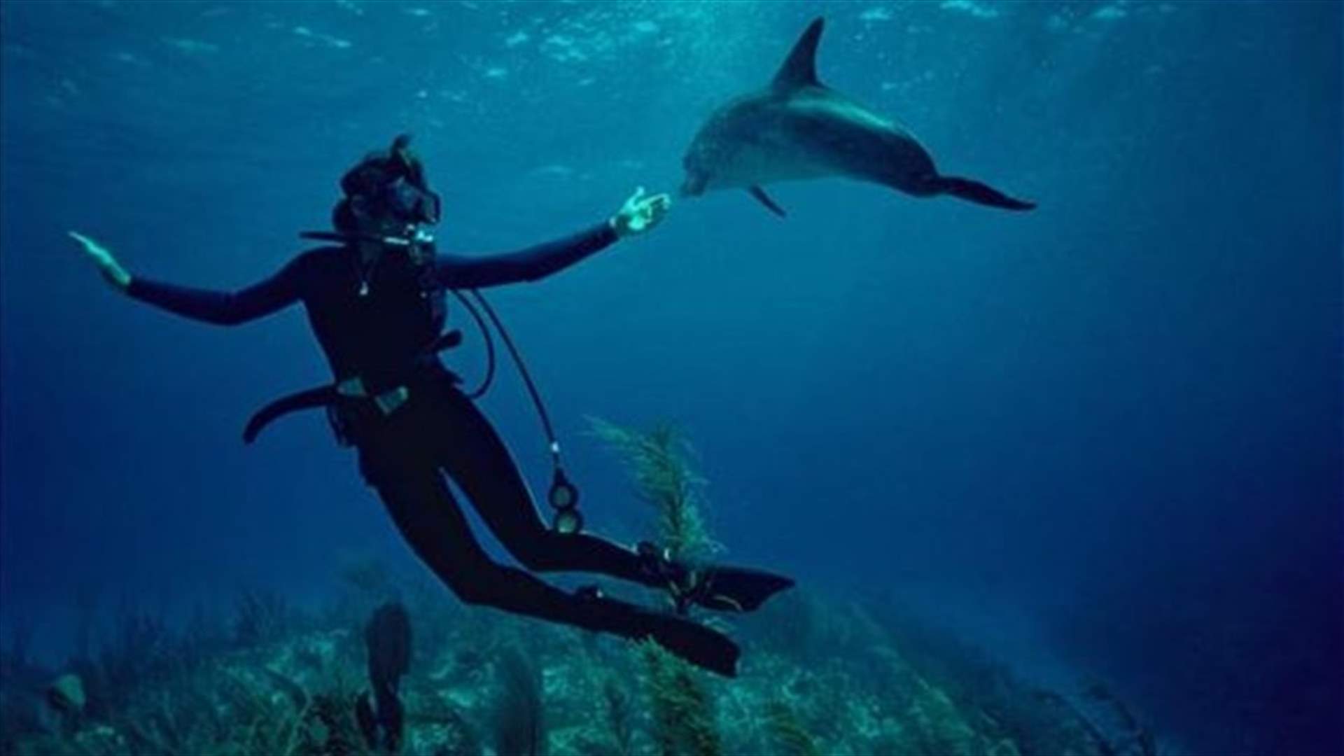 'Mission Blue' film charts scientist's quest to save oceans