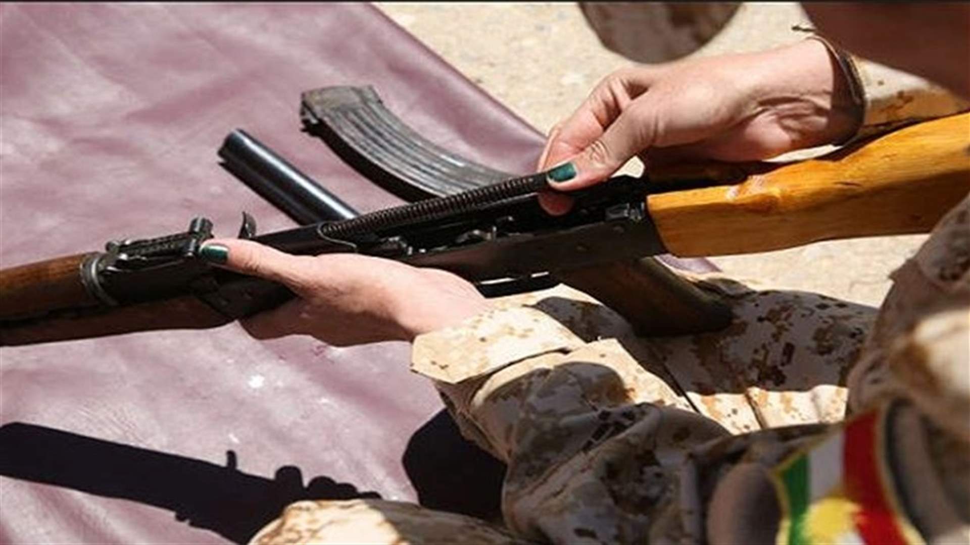 Germany, Italy say prepared to send weapons to Iraq's Kurds