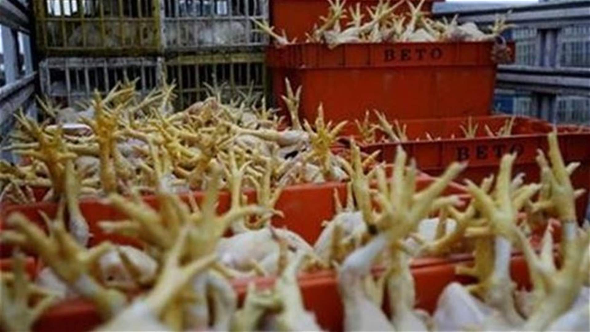 China police seize 30,000 tons of tainted chicken feet