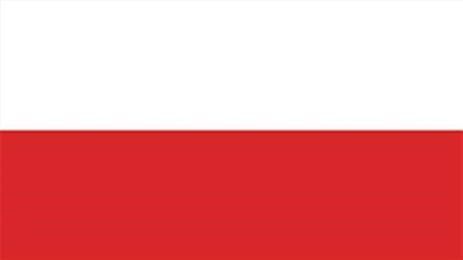 Poland, Ukraine bar overflight by Russian defense minister's plane