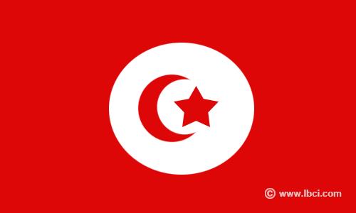 انقطاع التيار الكهربائي في قسم كبير من تونس