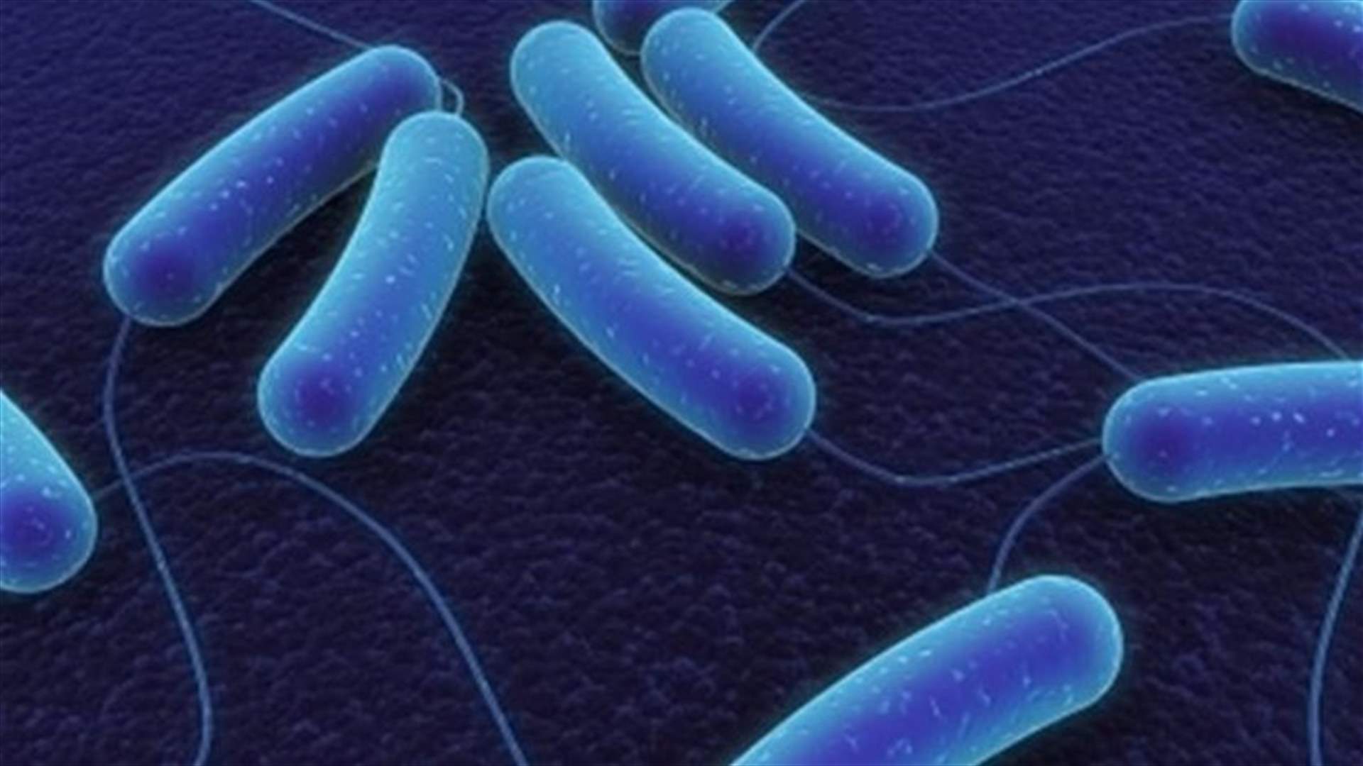 Scientists use E.coli bacteria to create fossil fuel alternative   