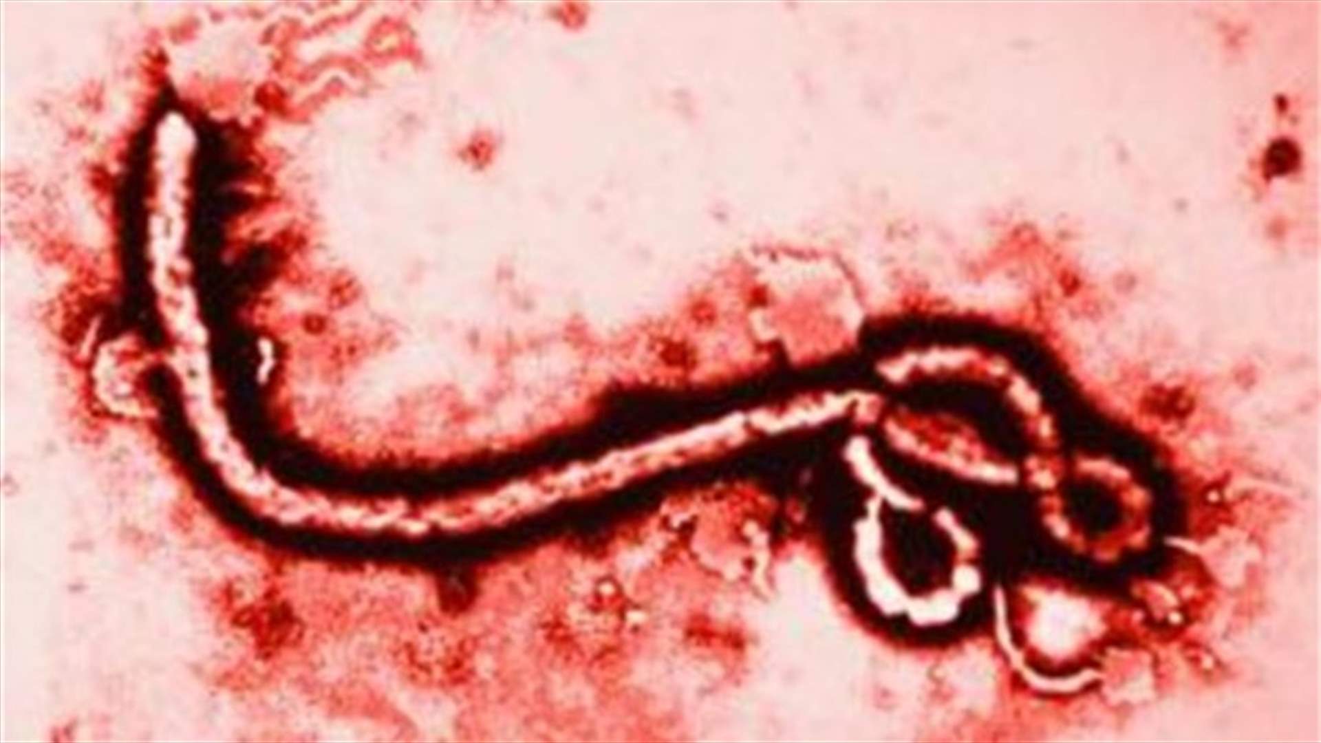 Ebola outbreak stirs anger in fragile Liberia