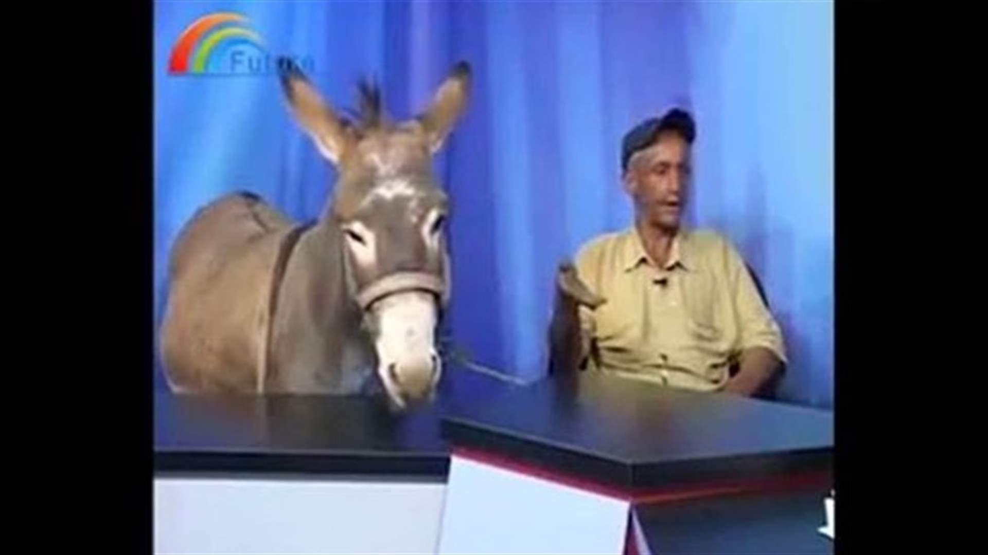 بالفيديو: حمار ضيف برنامج حواري 