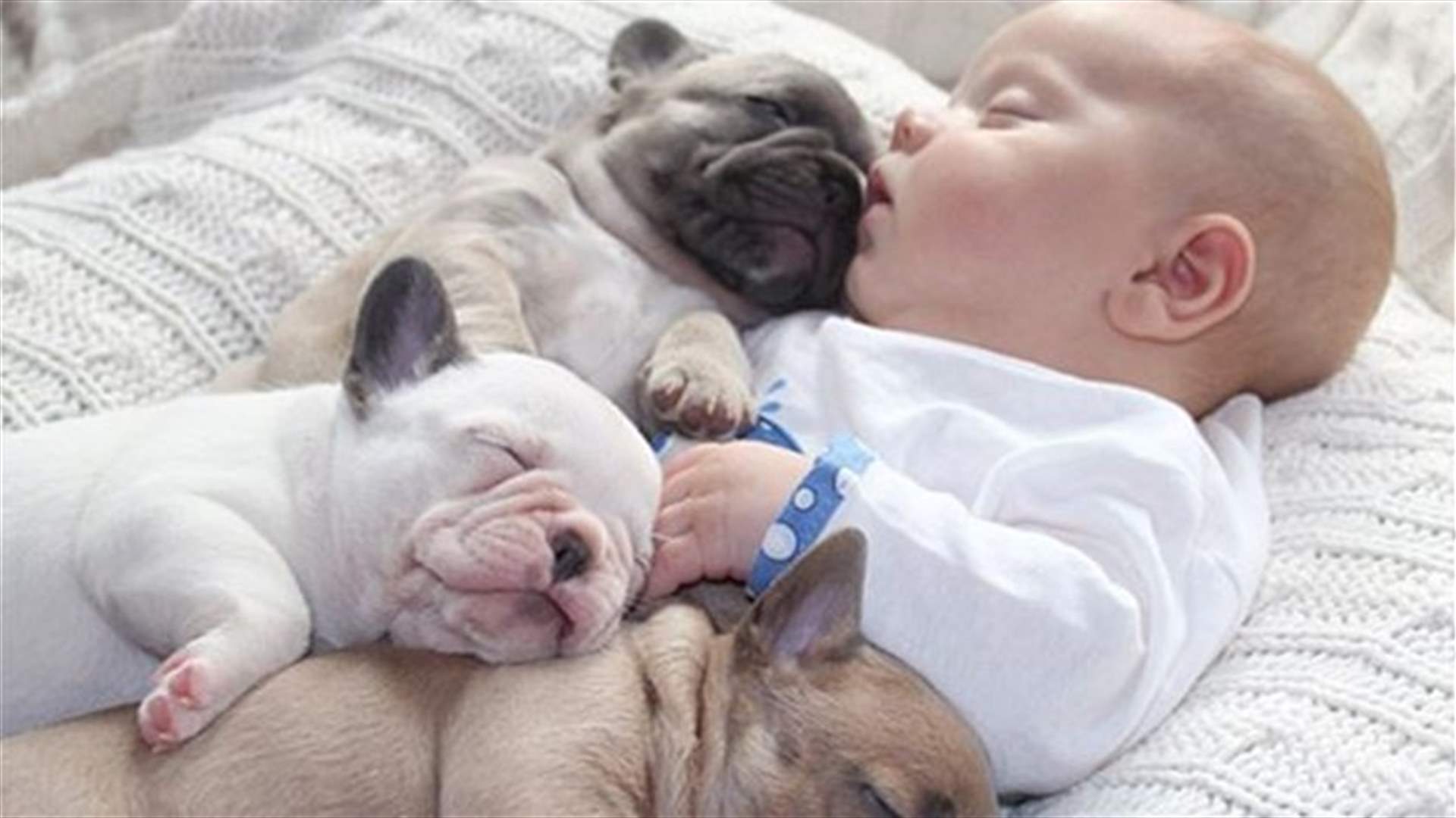 Cute Dogs & Adorable Babies