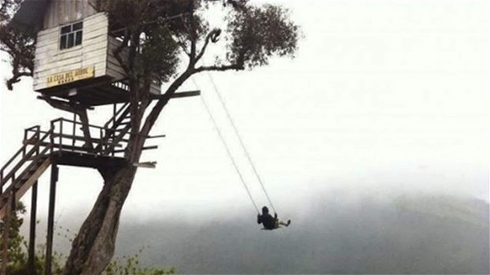 The World's Coolest Tree Houses! 