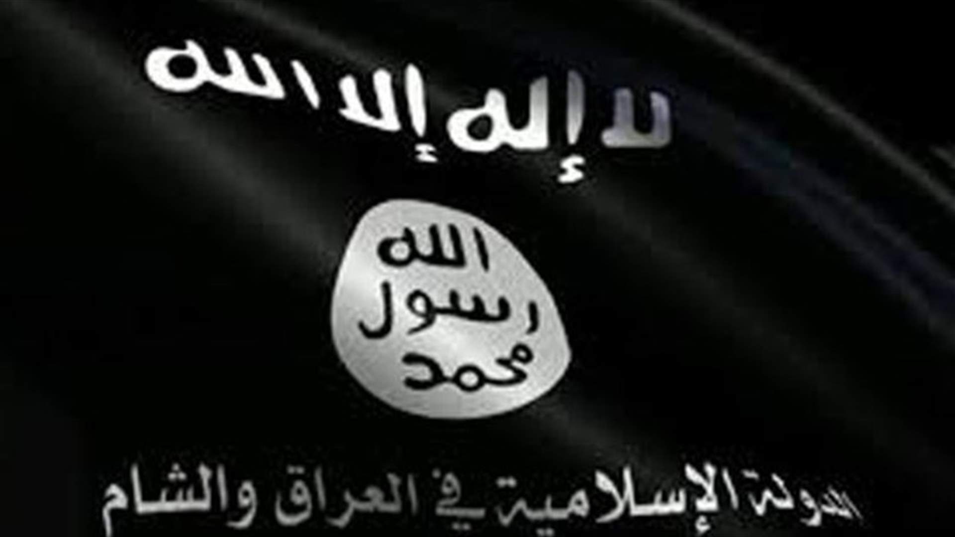 CIA: Islamic State group has up to 31,500 fighters