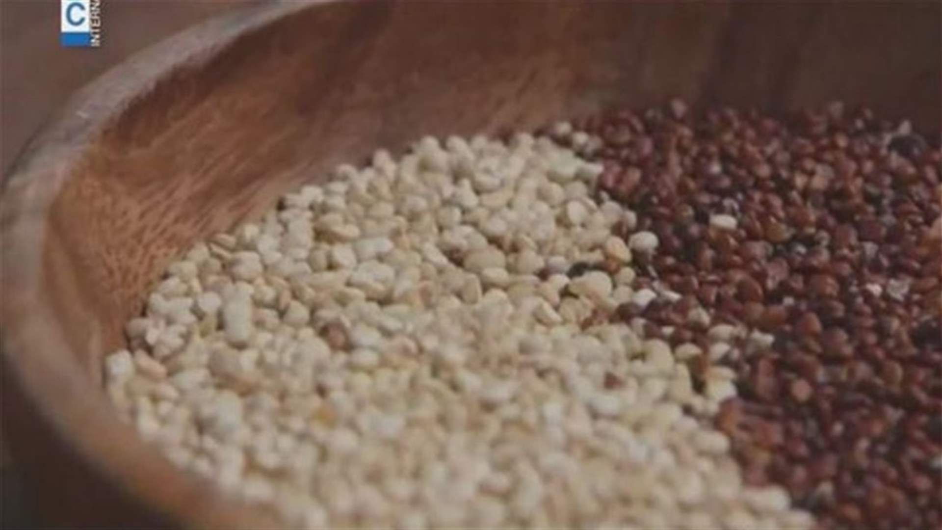 الكينوا ... حبة المستقبل.... في سهول البقاع