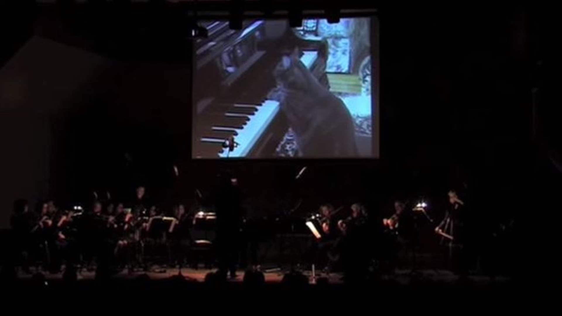 Cat Plays Piano With Classical Orchestra  