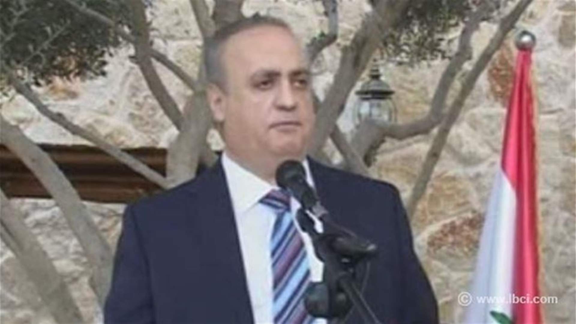 وهاب يدعو لتشكيل "أنصار" الجيش