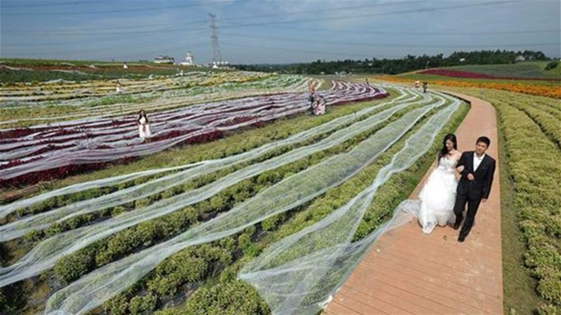 The 4,100 Meter Long Wedding Dress!