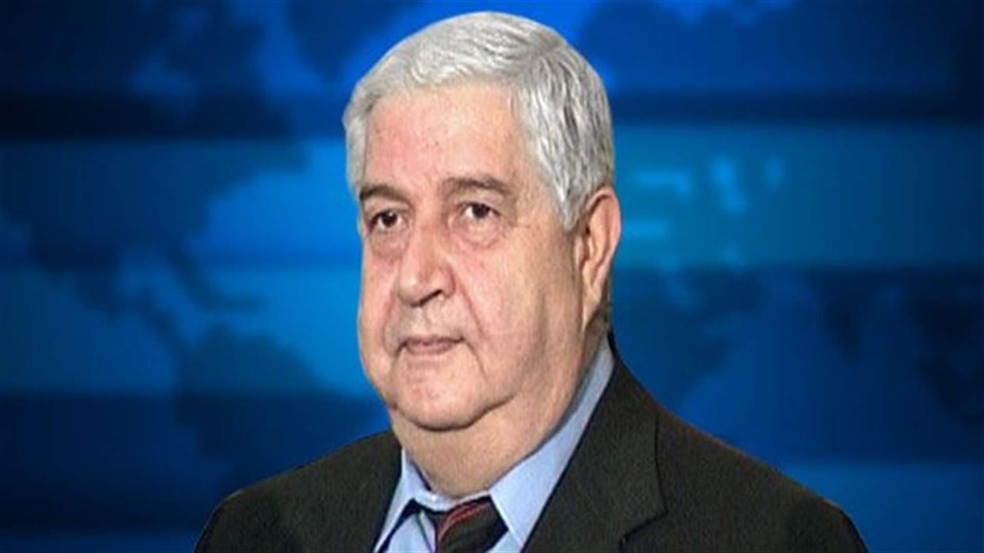 Syria "stands with international effort" to fight Islamic State