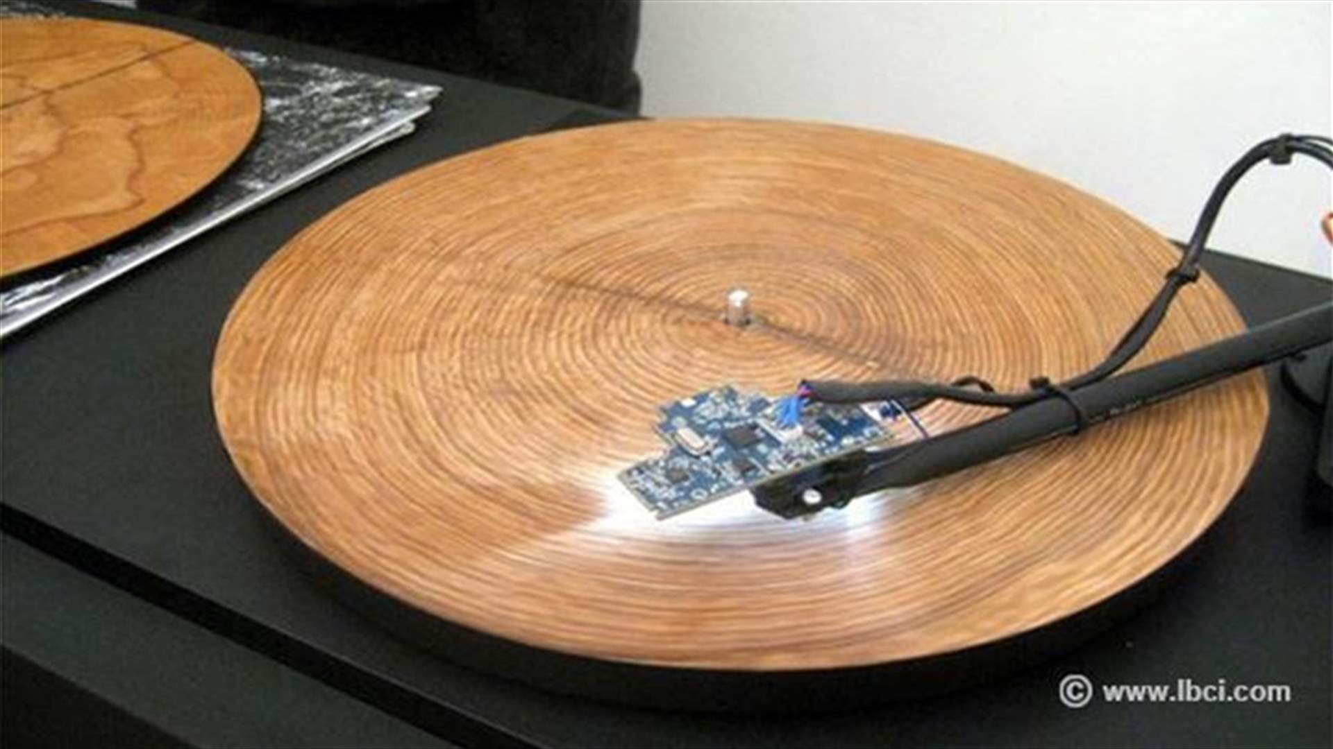 Ever Wondered What Trees Sound Like? Here's Your Answer