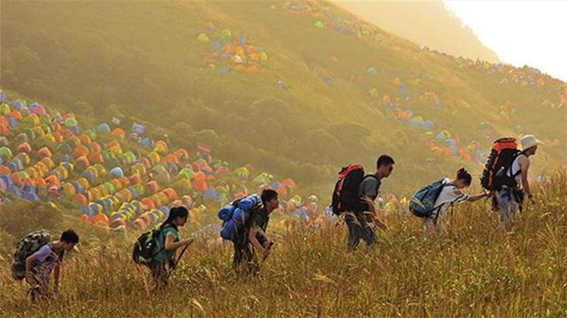 Walking In Nature With Others Is Linked To Heightened Well-Being-Study