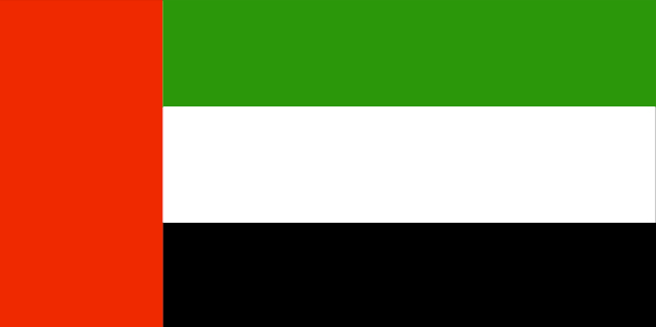 Rights group demands UAE reveal whereabouts of Libyans, Emiratis