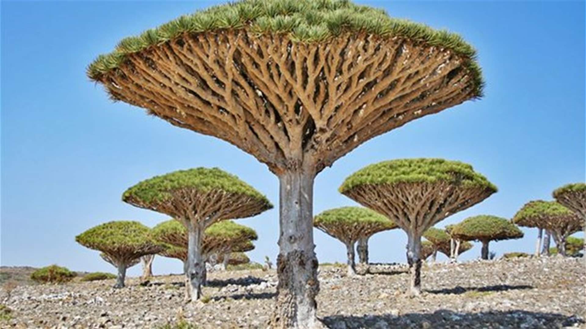 Most Surreal Landscapes Found Around The World