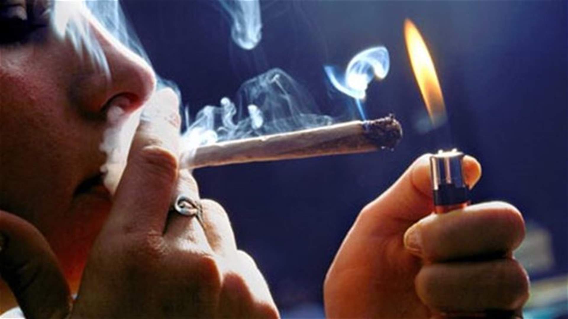 دراسة – هل الحشيشة فعلاً غير مؤذية؟