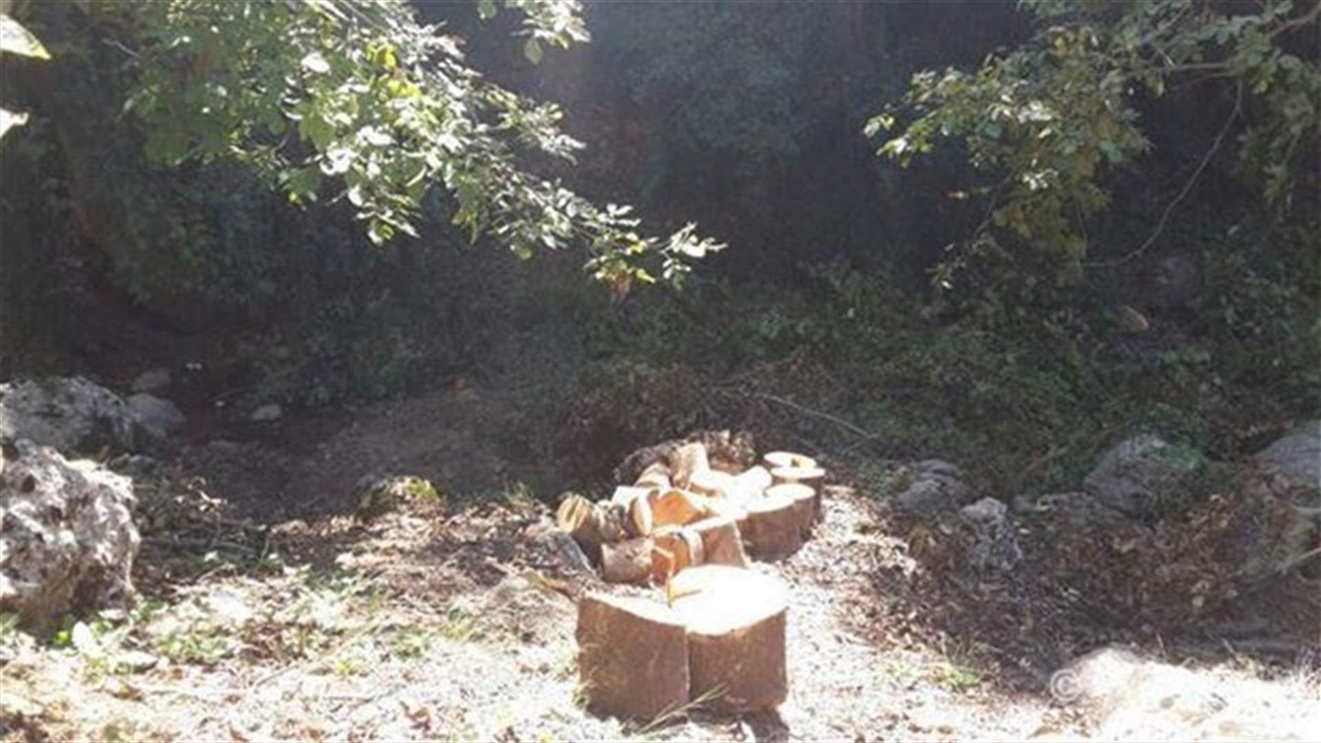 [PHOTOS] Ecoterrorism On The Rise In Lebanon