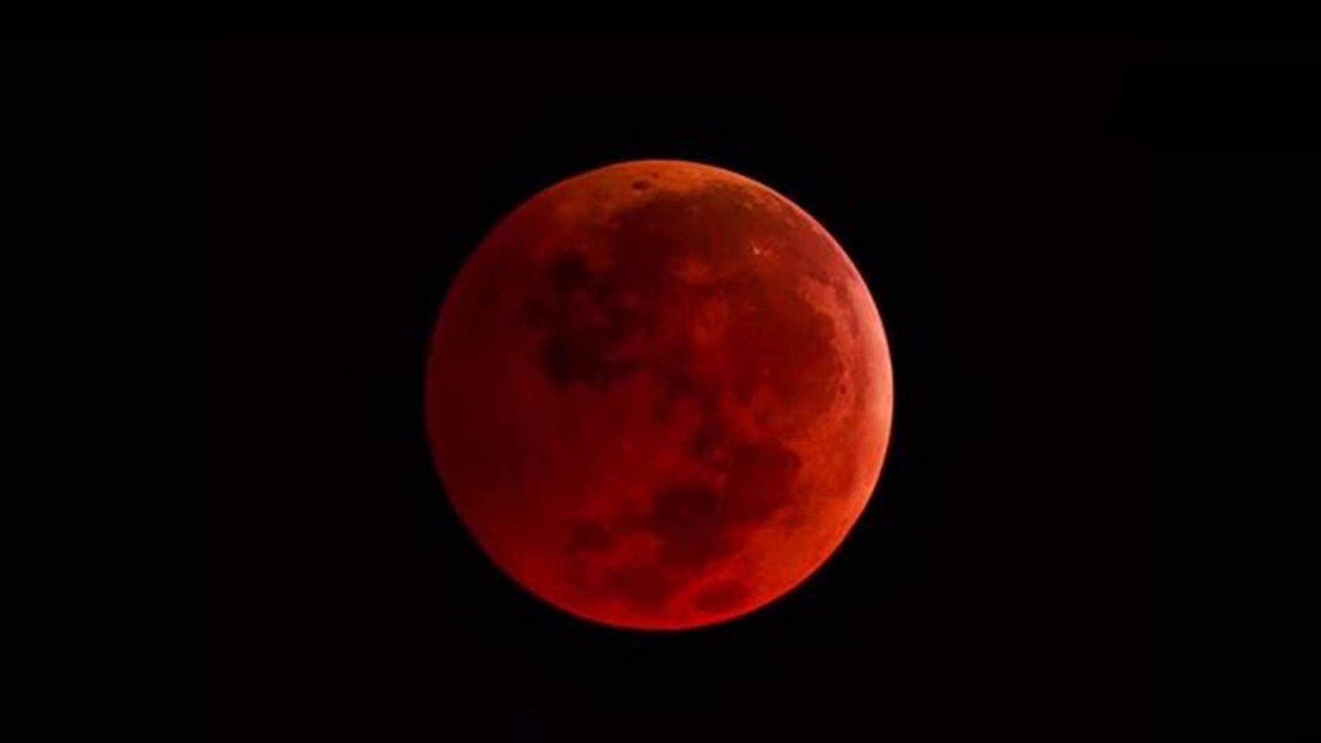 'Blood moon' eclipse to grace pre-dawn skies on Wednesday
