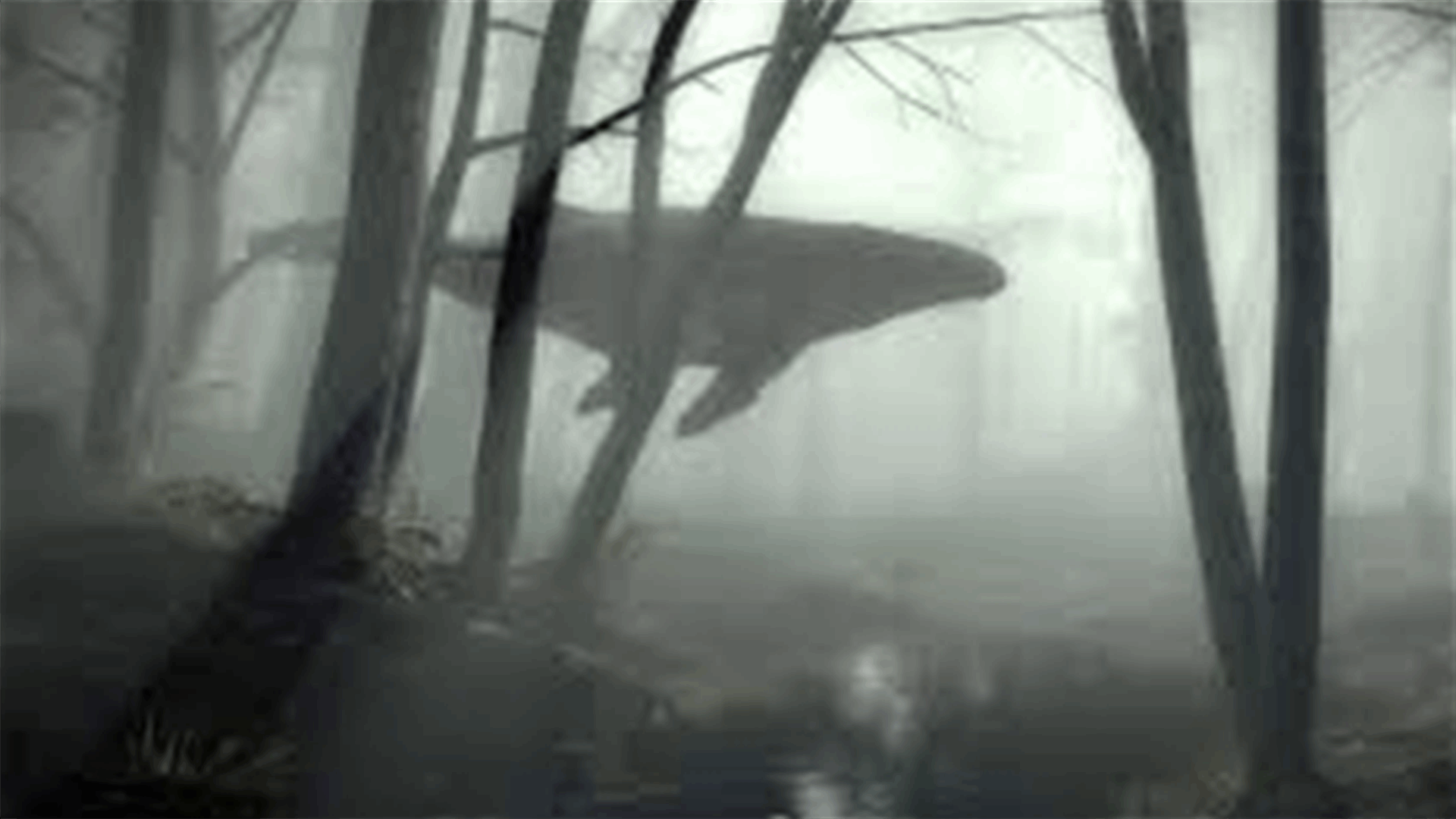 [VIDEO] A Whale Swimming Through The Forest? Now That's Odd!