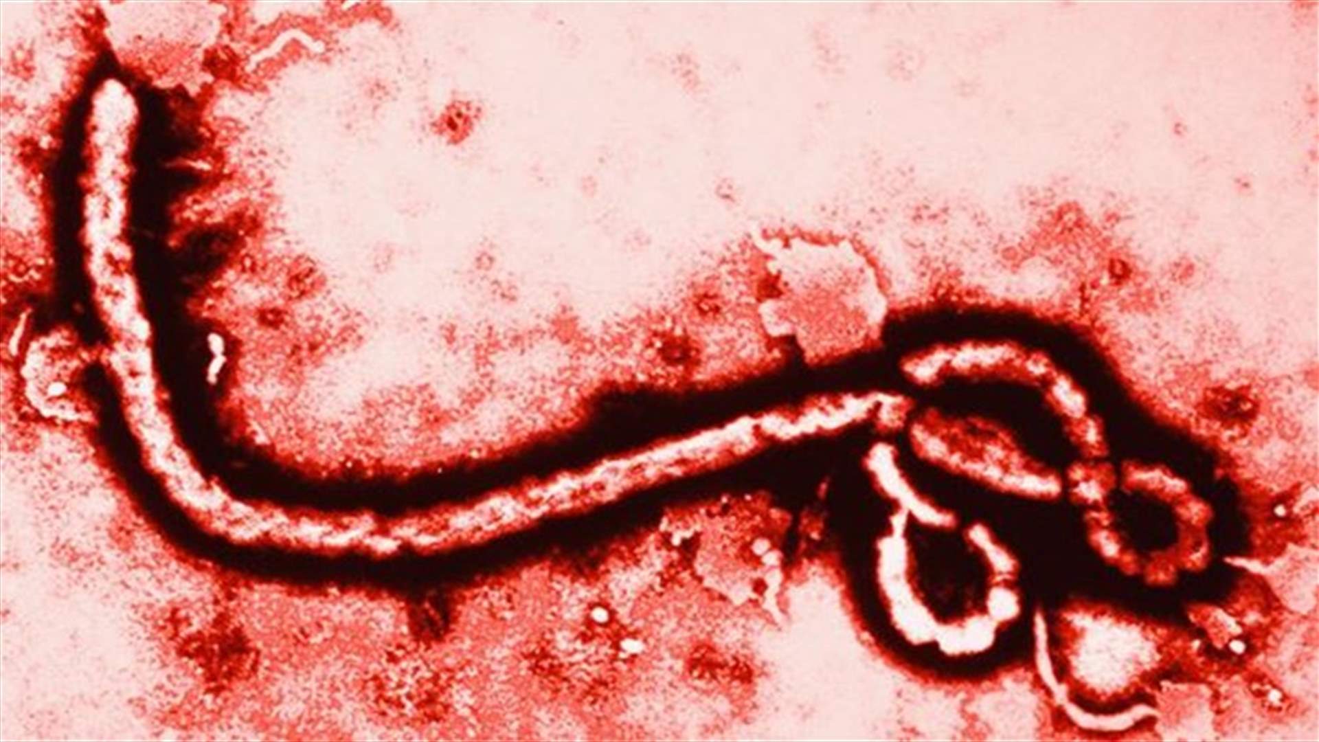 WHO revises Ebola death toll down by 14 to 3,865