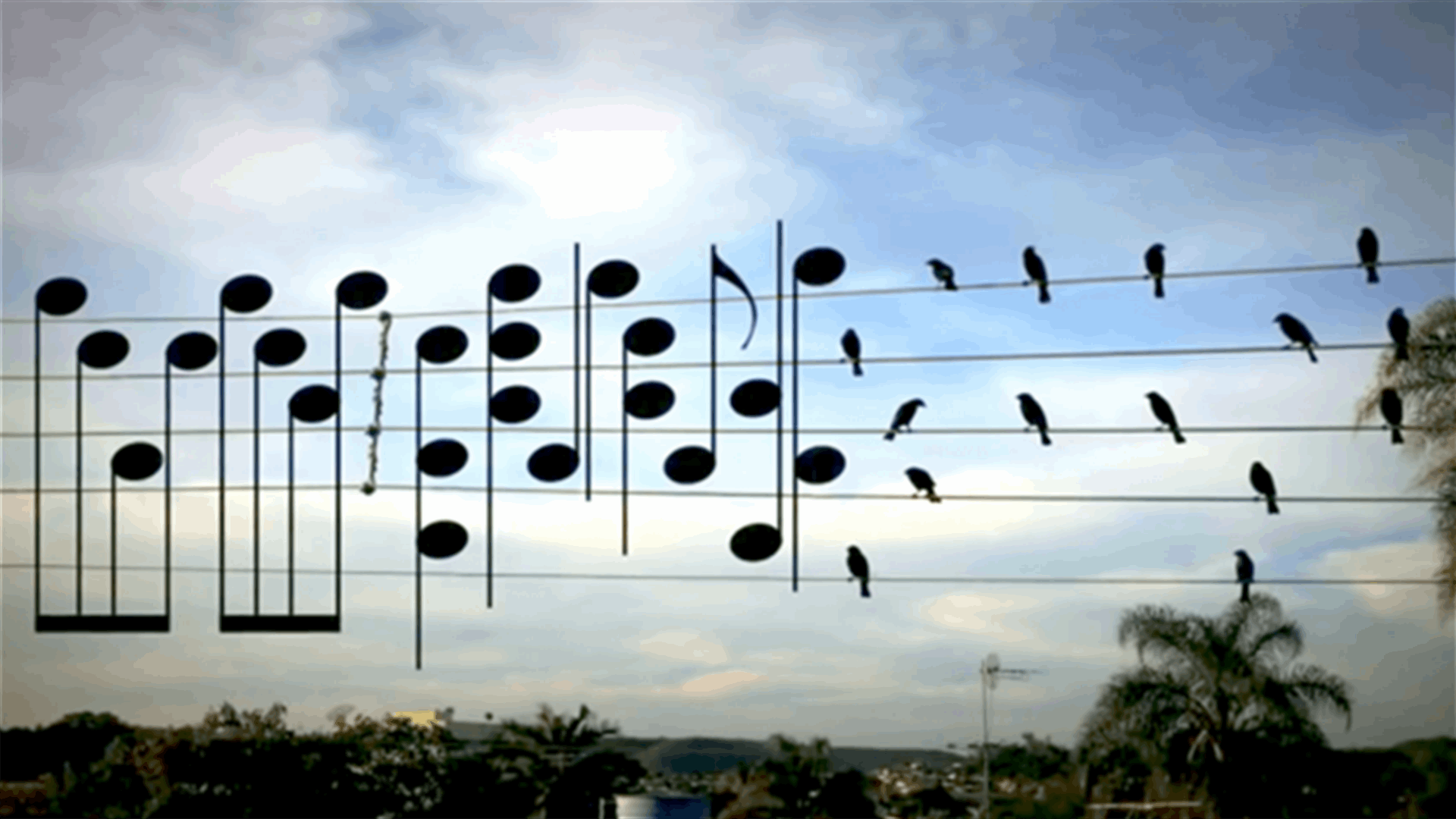 [VIDEO] What Would Happen If Birds Were Transformed Into Musical Notes? 