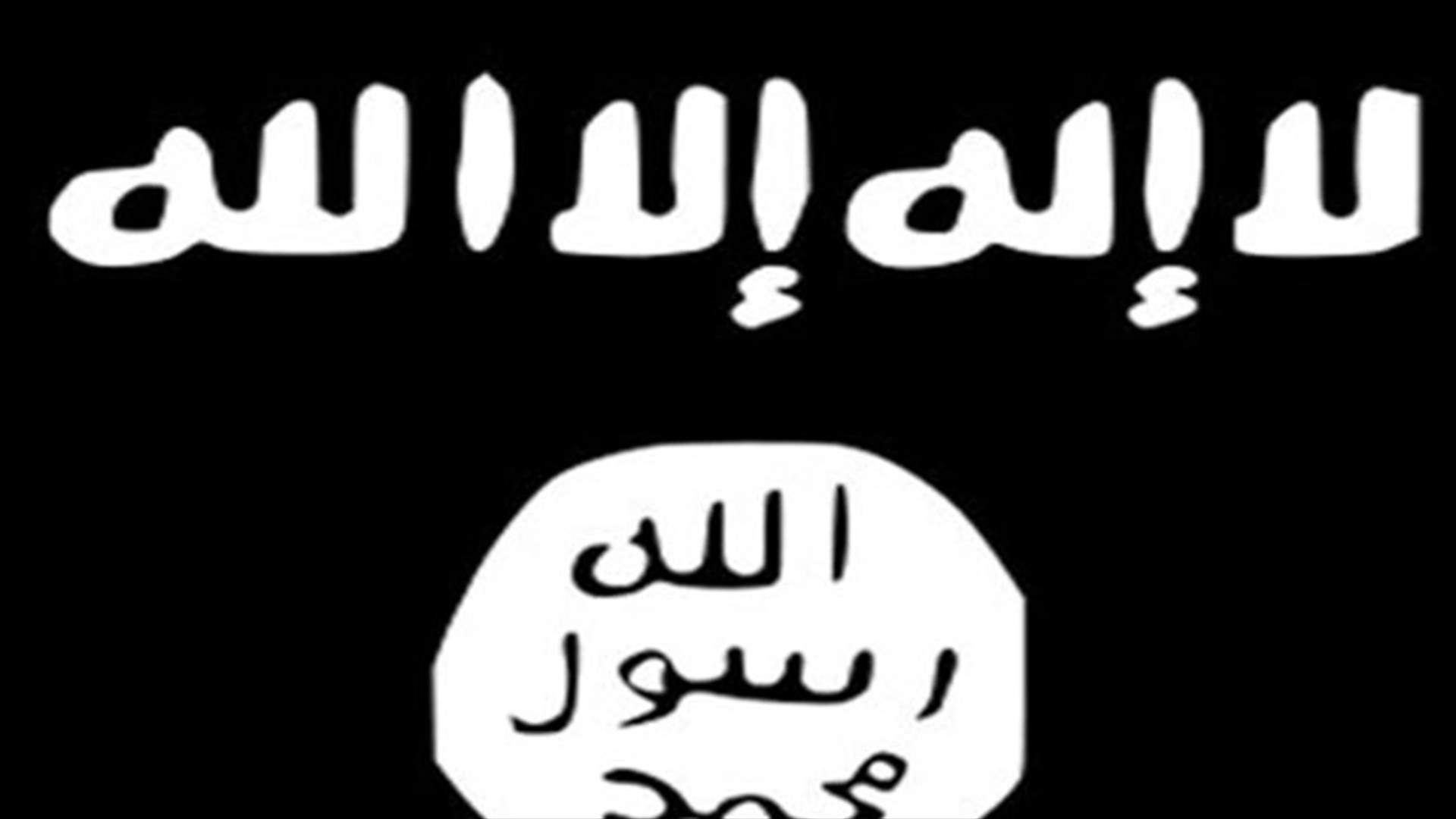 الجيش الأميركي نفذ غارات جوية علي مواقع الدولة الاسلامية بالعراق وسوريا
