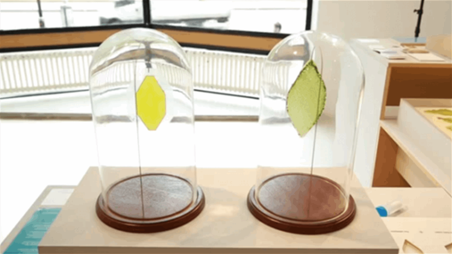 [VIDEO] This Artificial Leaf Produces Oxygen From Light And Water!