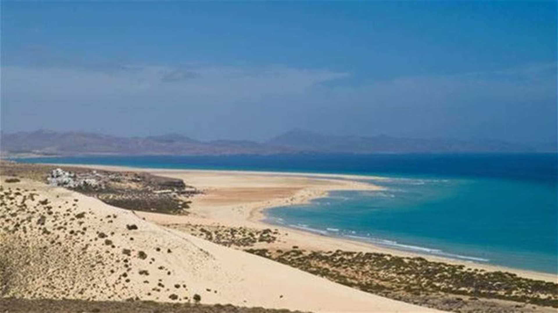 Couple Gets Stuck Together While Having Sex In The Ocean