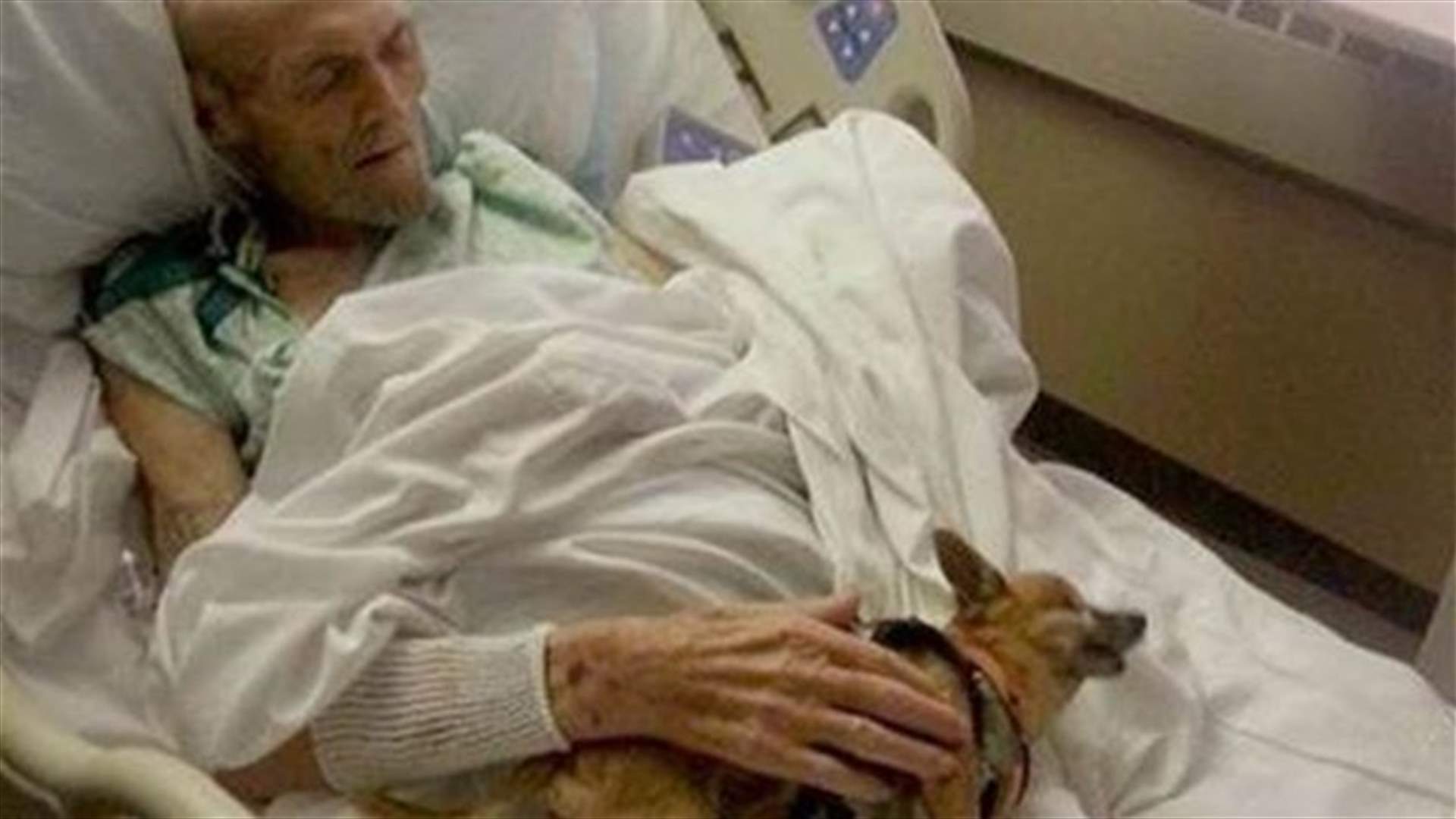 [VIDEO] Dog Gives Dying Man A Reason To Live! 