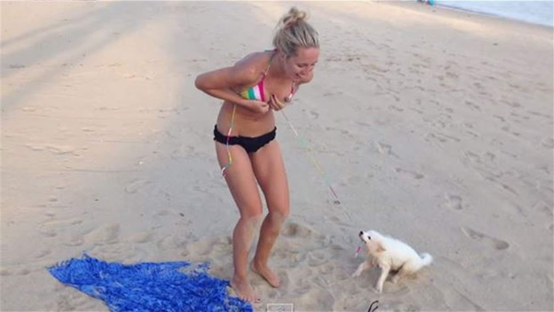 بالفيديو: كلب يحاول تعرية شابة بلباس البحر... هل نجح؟