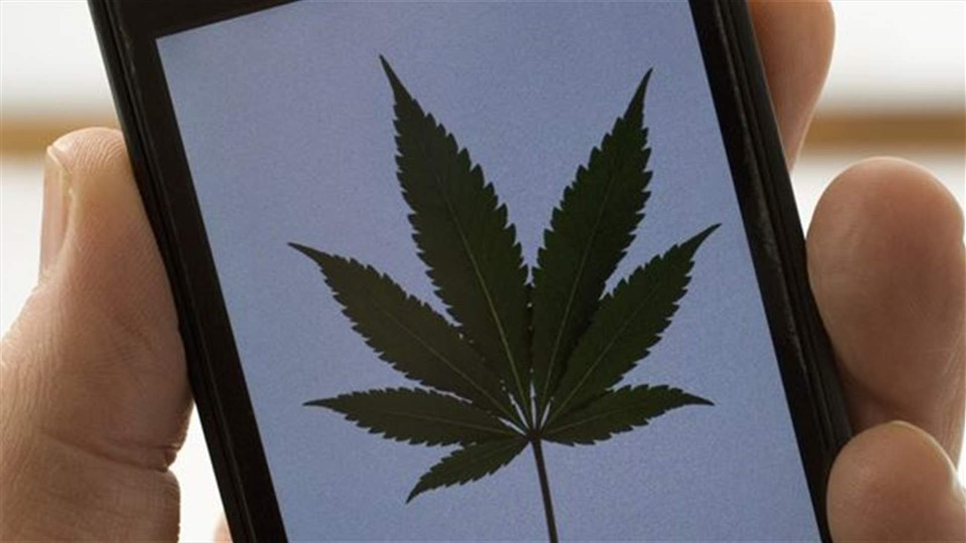 خدمة لتوصيل الحشيشة عبر تطبيقٍ على الهاتف
