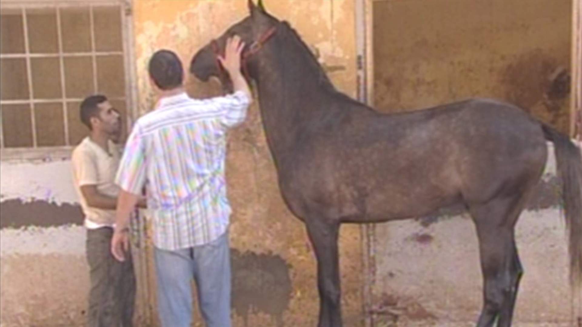 الرعام قاتل الخيول قد ينتقل الى الانسان 