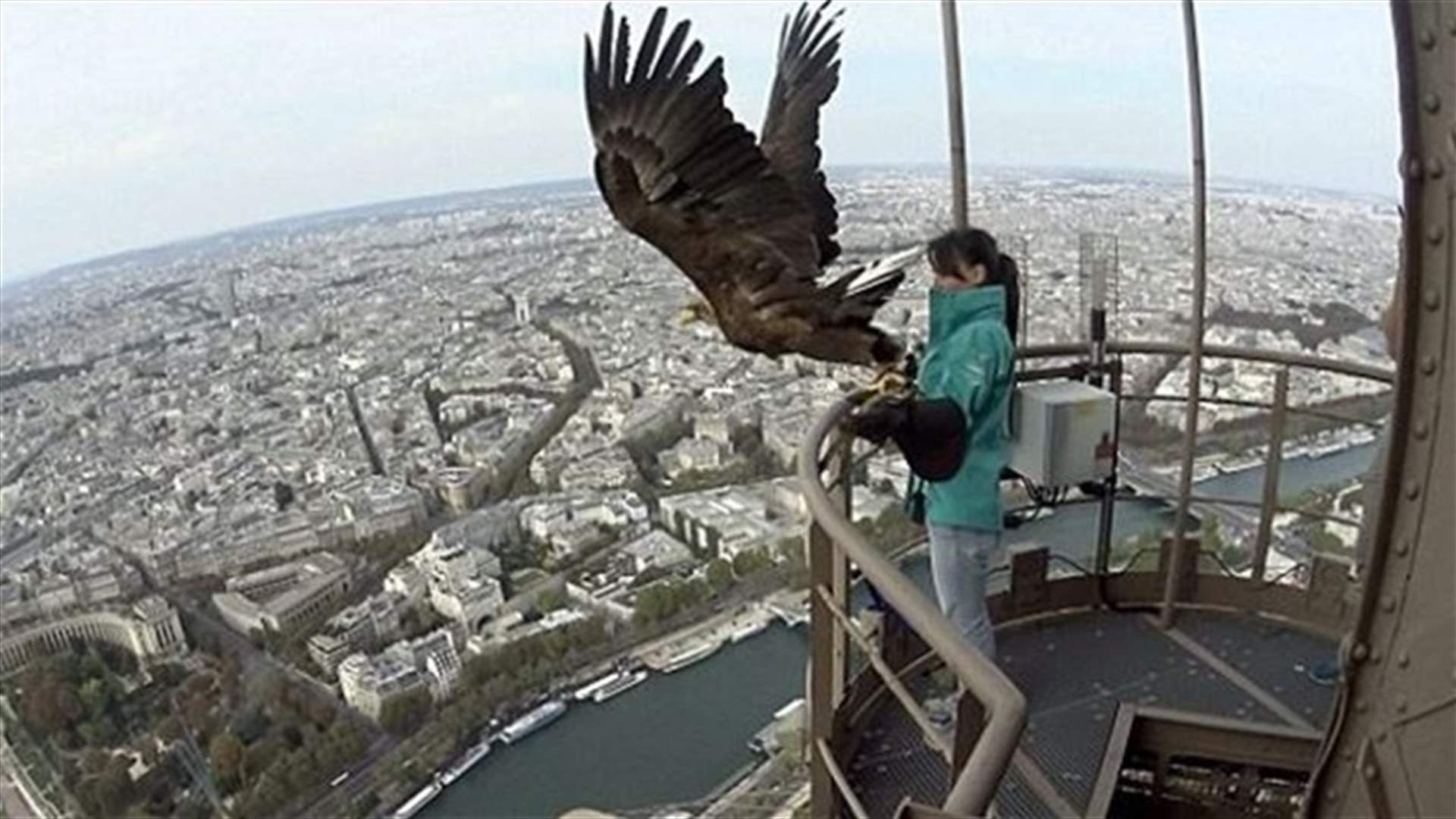 [VIDEO] This Eagle Will Show You A View Of Paris Like Never Before!