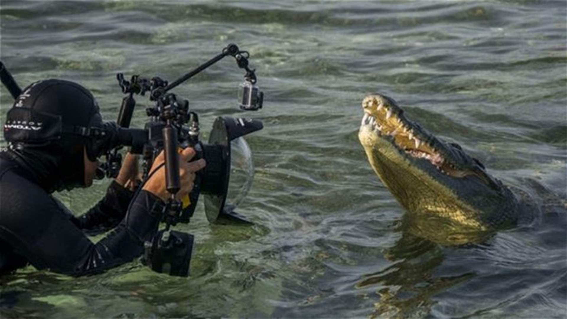 [Photos] Meet The Most Horrifying Crocodile Out There! 