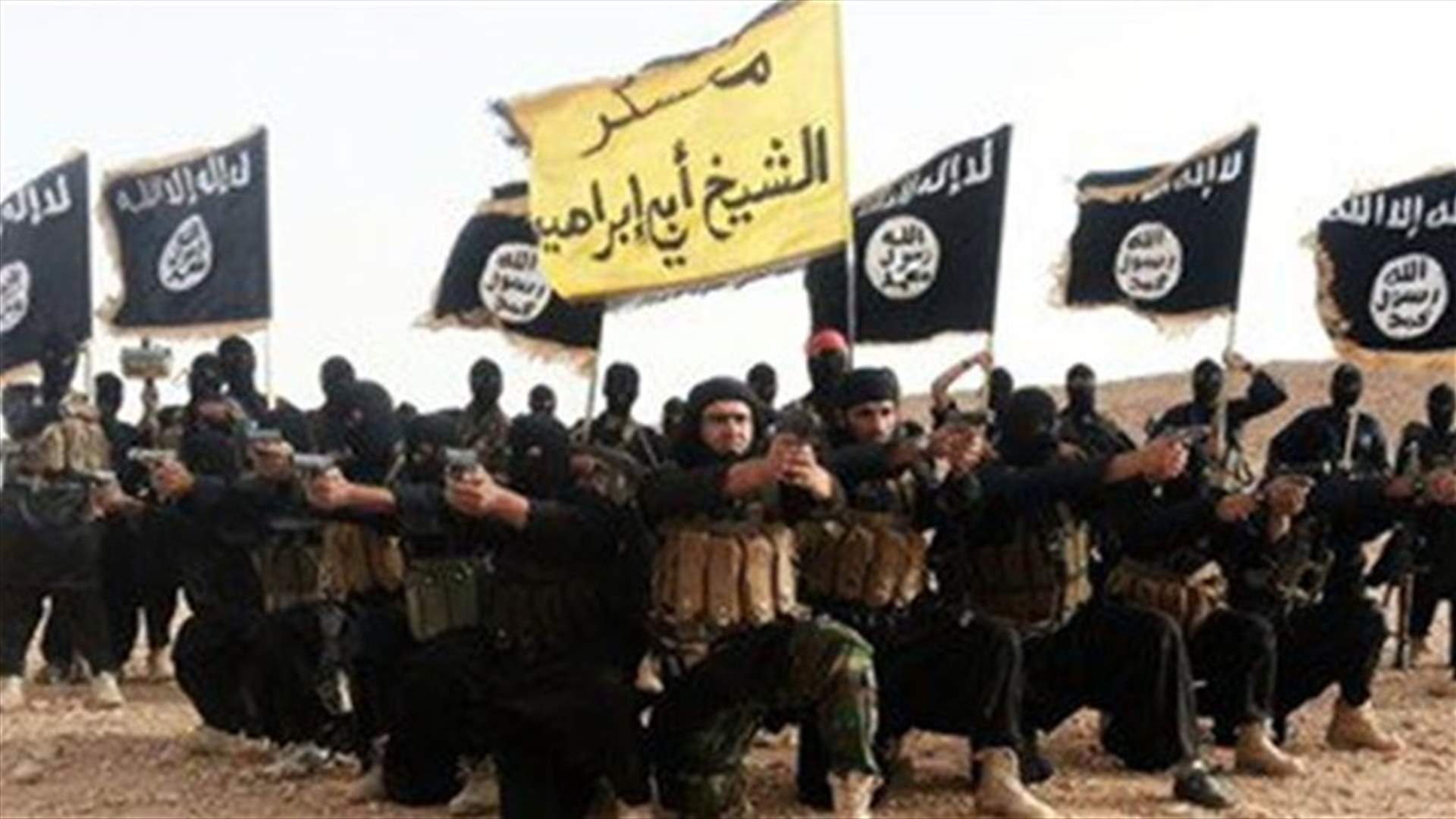 اكثر من الف قتيل في عين العرب السورية