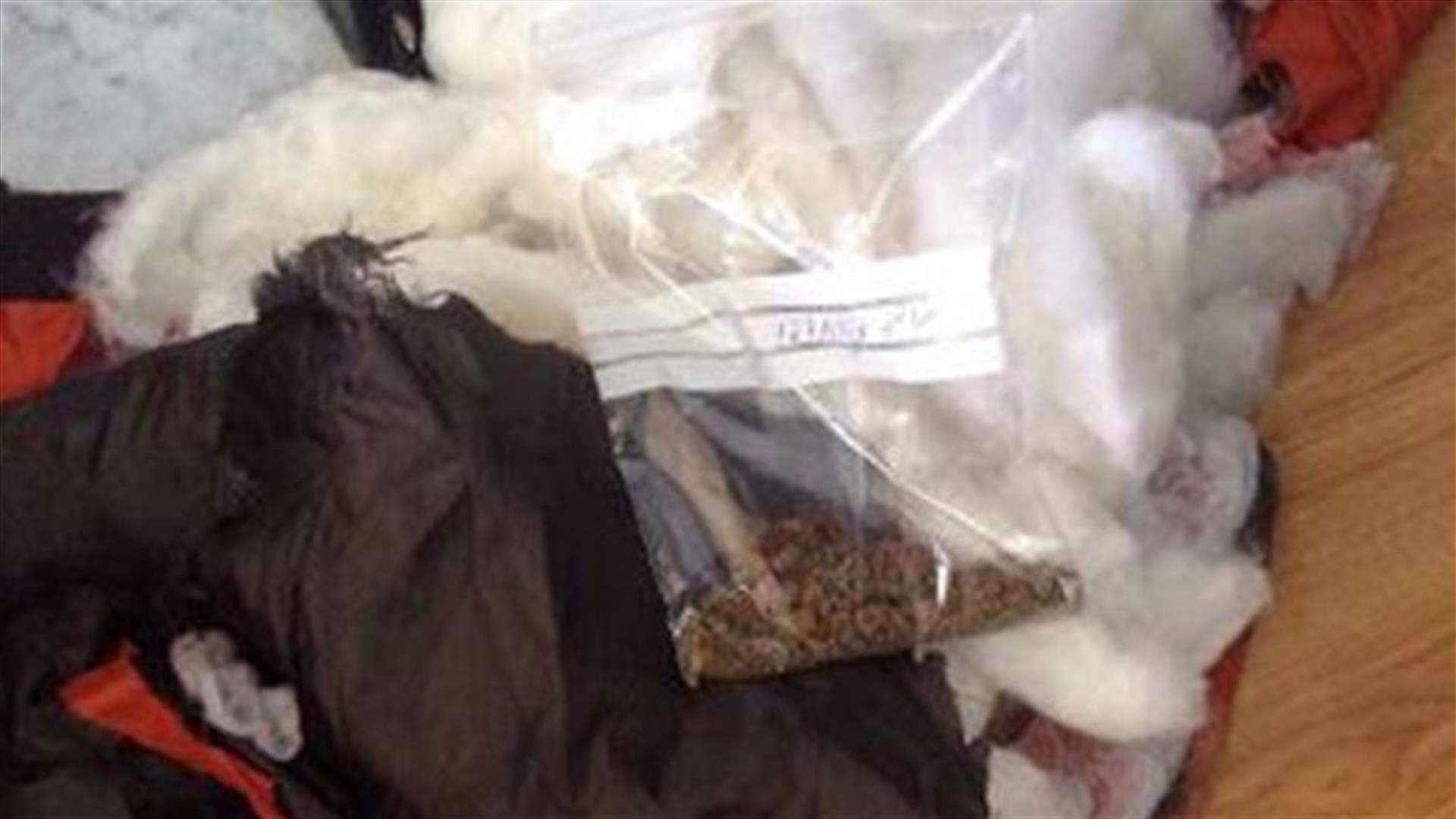 بالصورة...جد يهرب المخدرات الى حفيده بسجن زحلة
