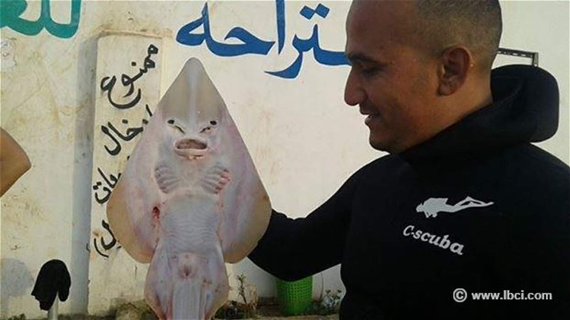 بالصور....سمكة غريبة حيرت الصيادين في حارة الناعمة