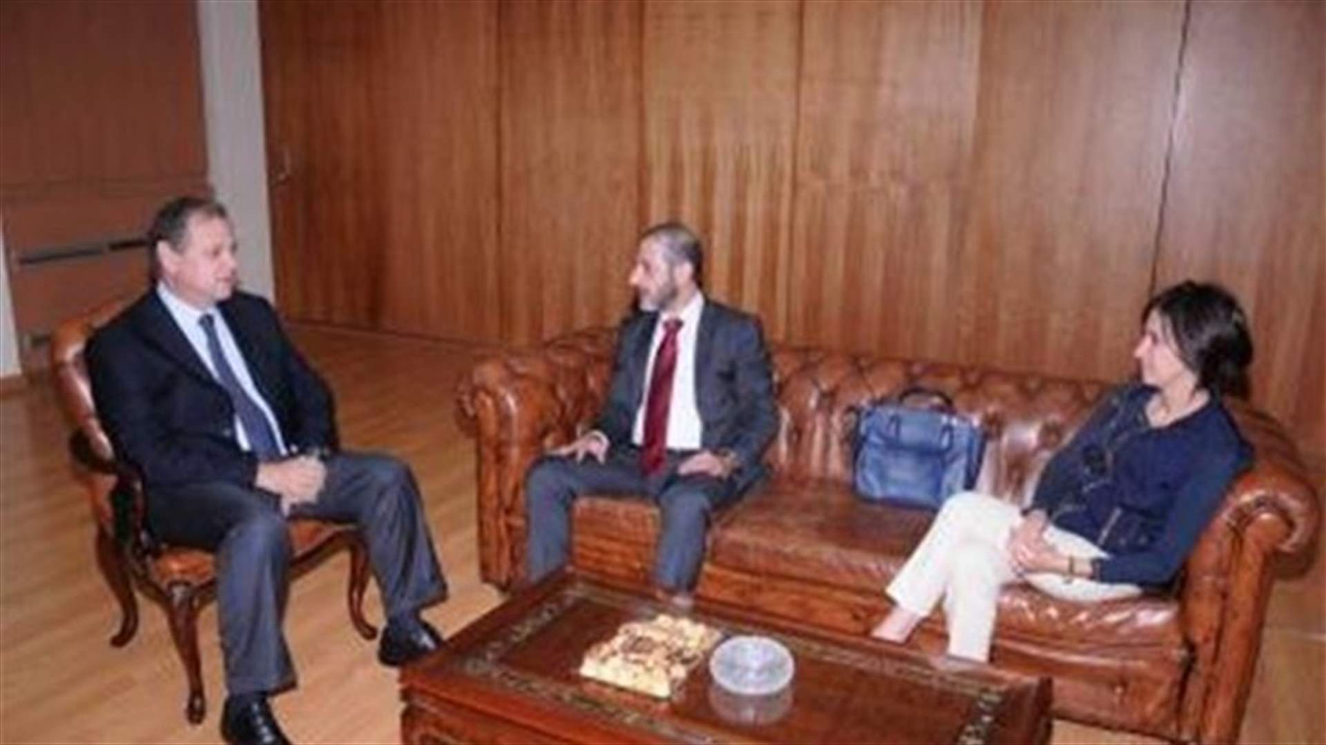 دو فريج بحث مع إدمون بطرس ووفد من الإتحاد السرياني بتمثيل الأقليات
