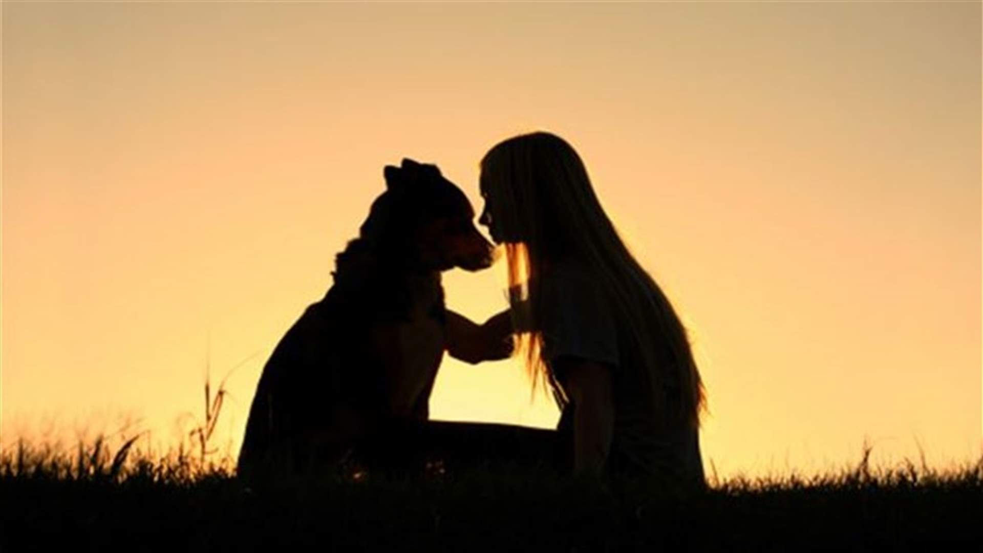 What Dogs Really Think Of Us