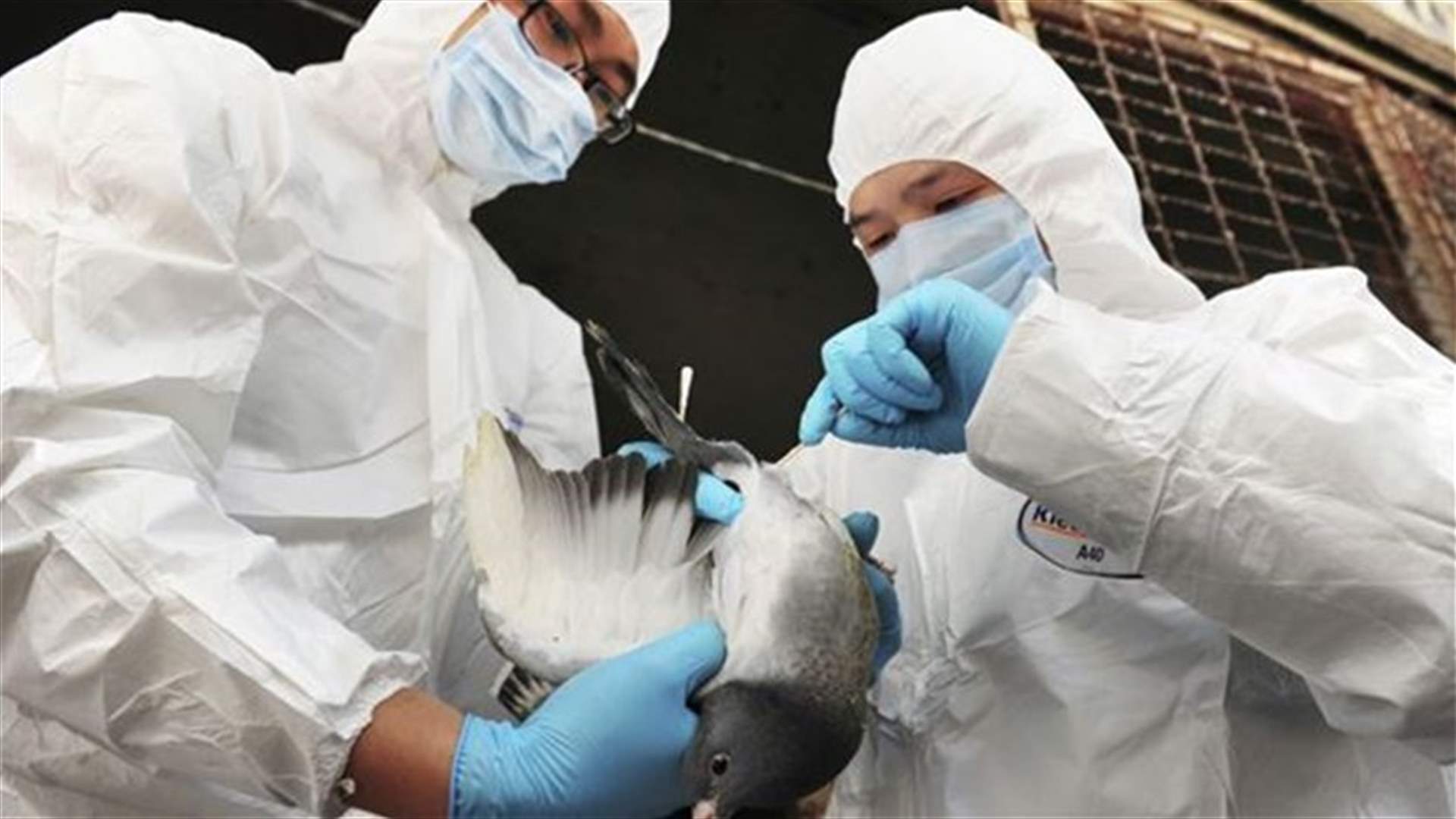 China reports new human case of H7N9 bird flu    