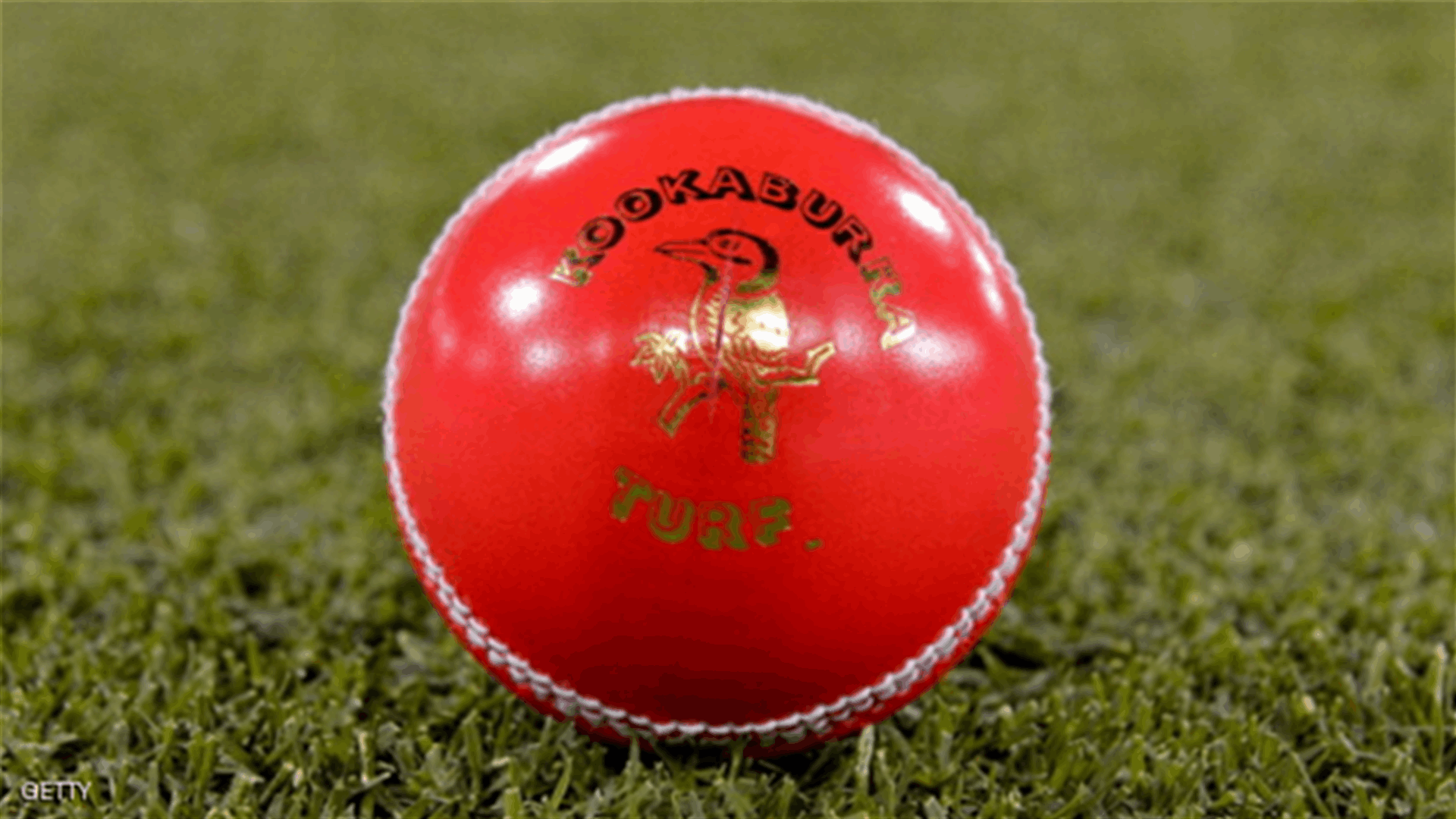 Israeli cricket umpire killed by ball